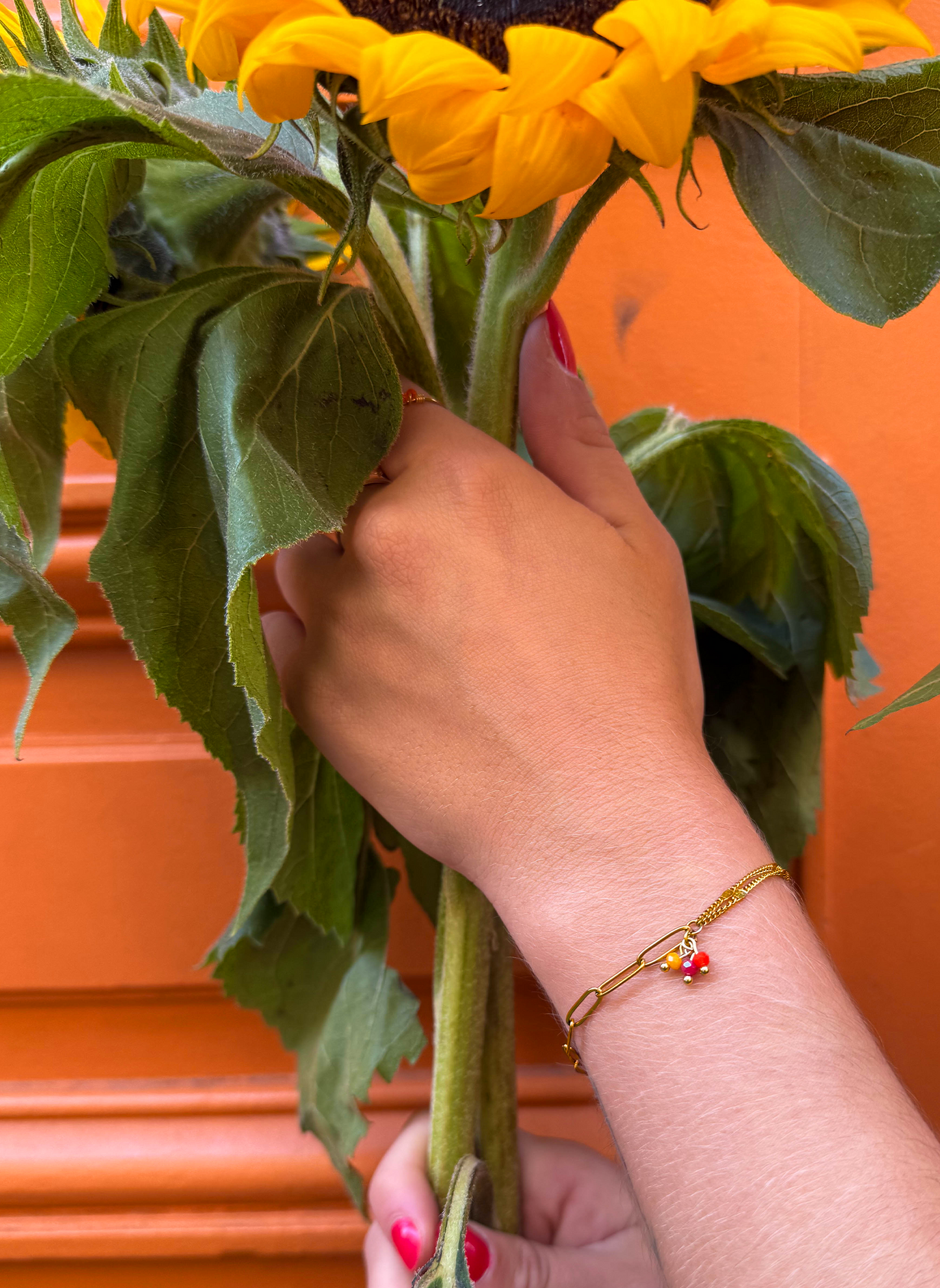 Bracelet Aurora